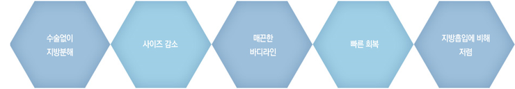 [목동HPL] 군살 없는 배 복부 지방분해주사 복부HPL 관련 이미지 3