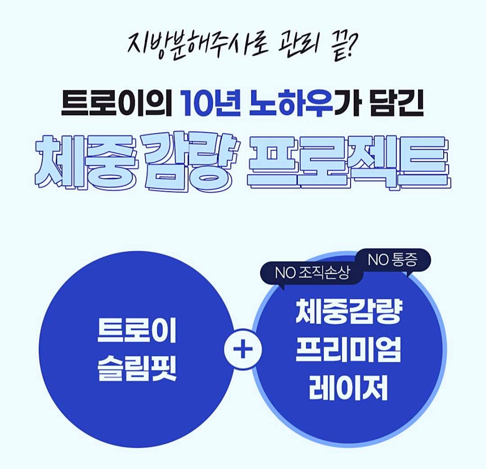 목동지방분해주사 트로이를 찾는 이유 관련 이미지 3
