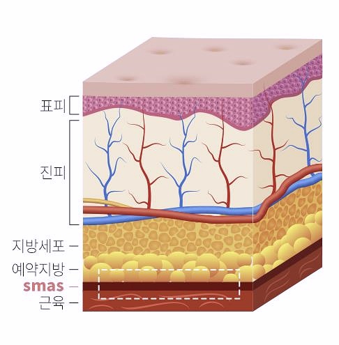 강서구안면거상술 성형외과 전문의가 맞춤진료 하는 곳 관련 이미지 3