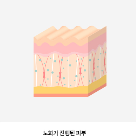 목동사거리피부과 찾으세요? 성형외과 진료까지 한번에 가능한 곳 관련 이미지 5