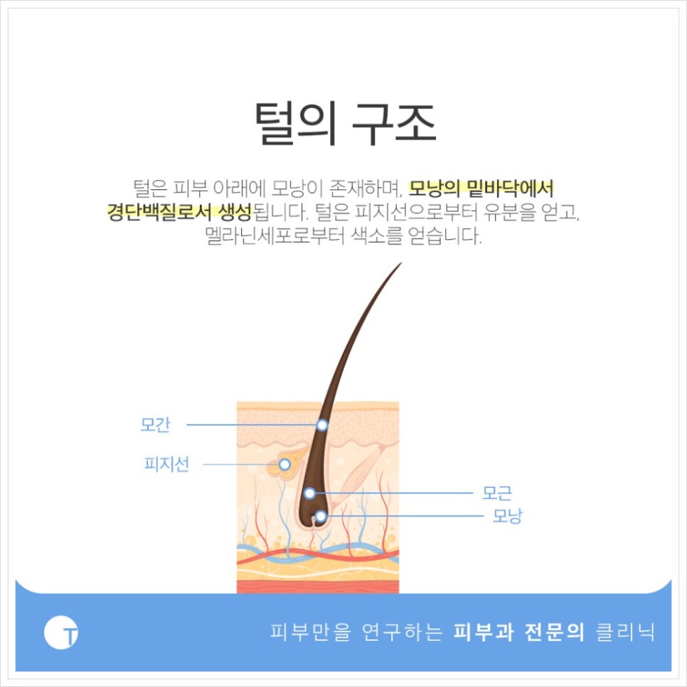 역삼동남자제모 깔끔한 인상을 좌우하는 관련 이미지 2