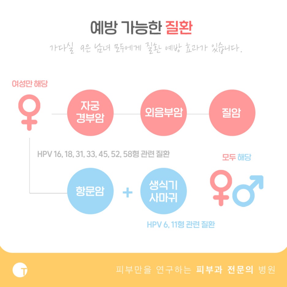 가다실9 남자 접종은 어떤 효과가? 관련 이미지 3