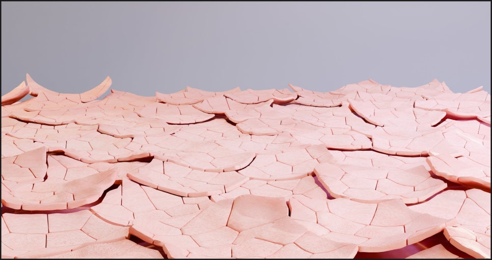 Yeoksam Station Skinvive: Is It Suitable for Dry, Rough Skin? image 5