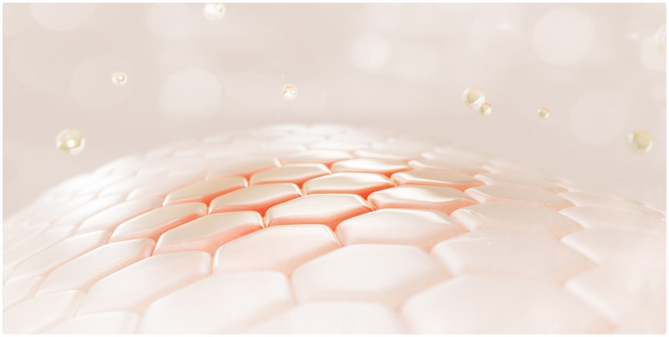 To a Clear Skin Clinic That Uses Only High-End Products in Gangnam Ellevie Rituo! image 1