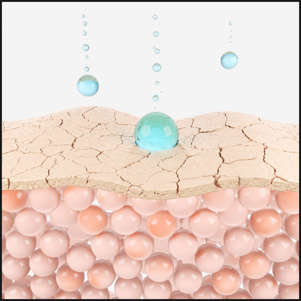 Yeoksam Station Skinvive: Is It Suitable for Dry, Rough Skin? image 4