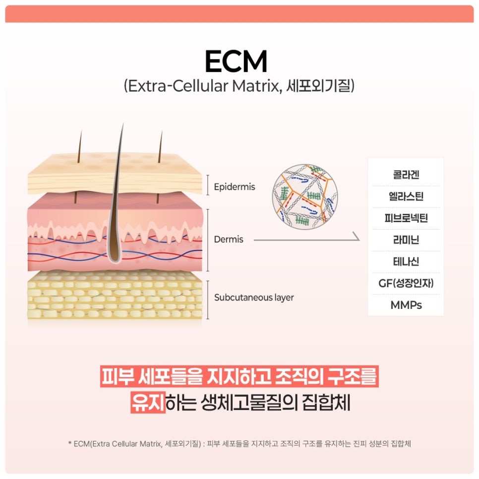 강남리투오잘하는곳 선택 전 확인해야 할 기준 관련 이미지 2