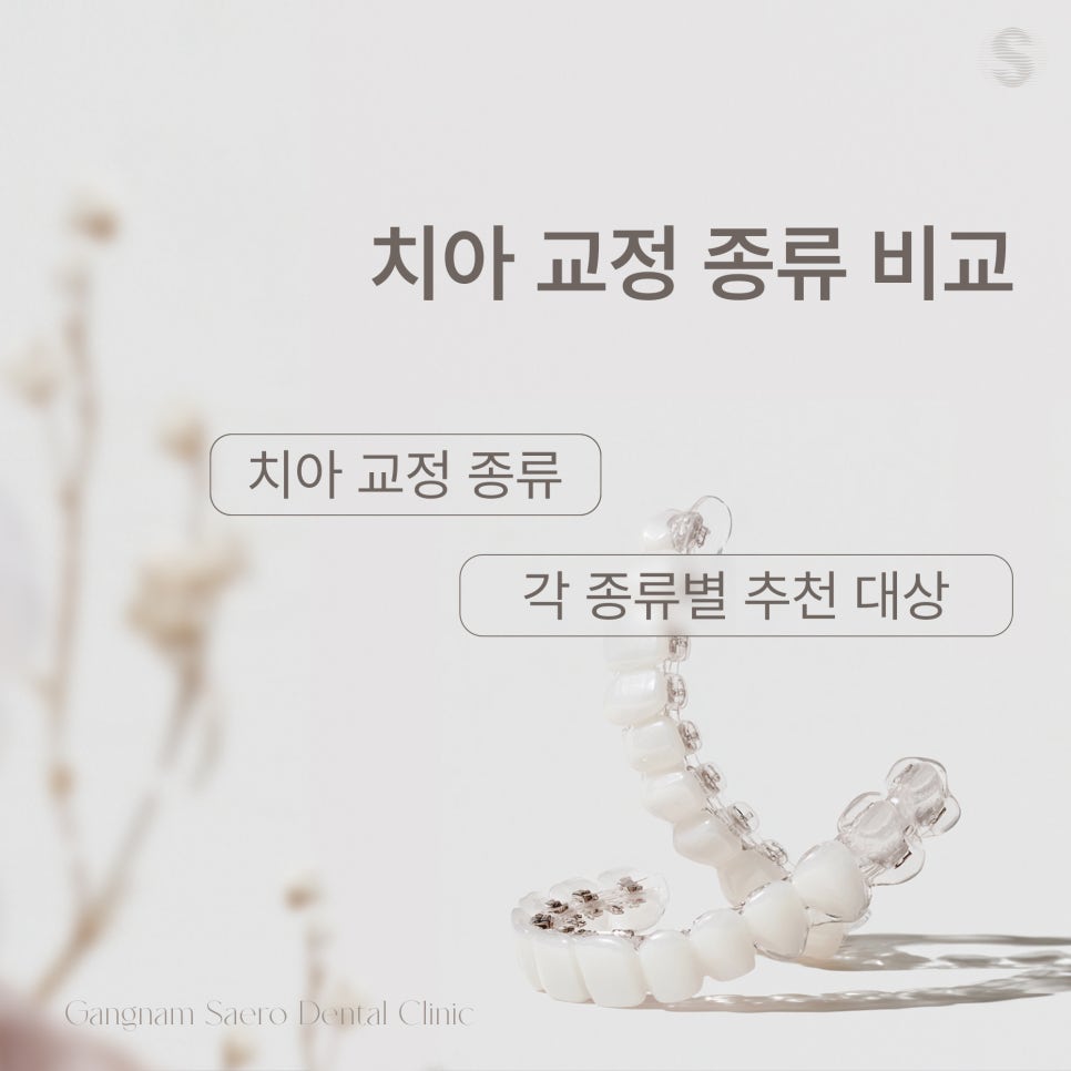 강남새로치과 치아교정종류 통해 맞춤형 교정 진료 (치아교정종류) 관련 이미지 7