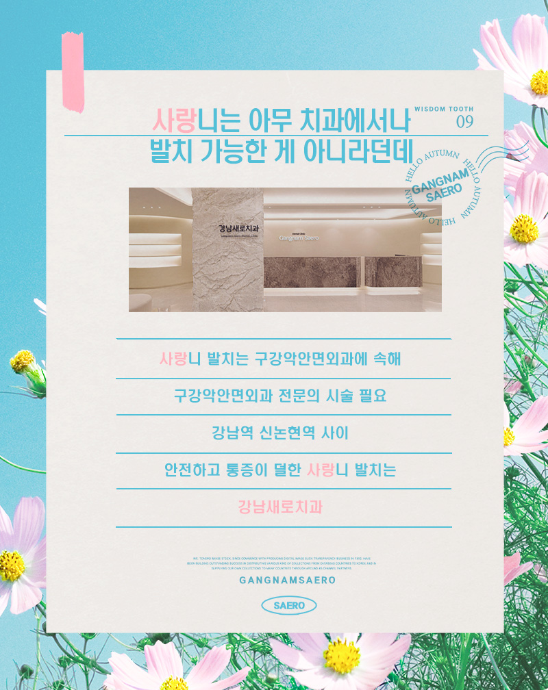 사랑니 오해와 진실 (사랑니발치) 관련 이미지 6