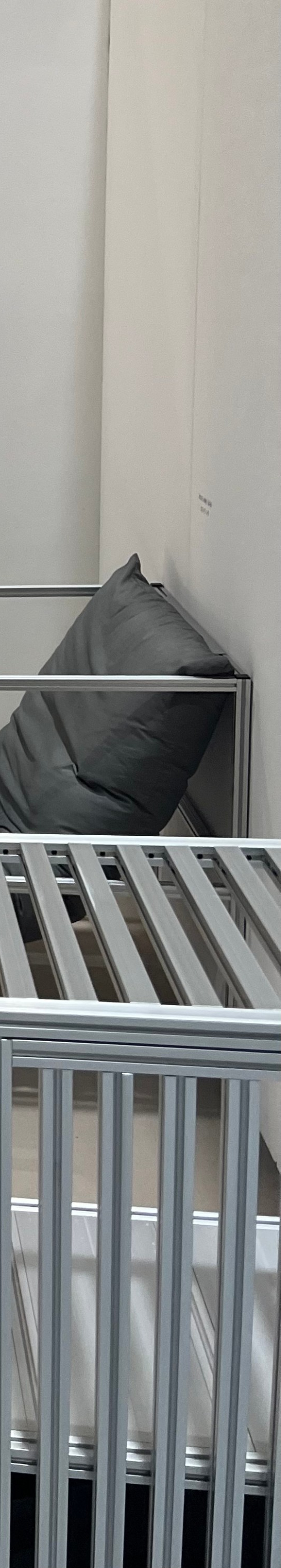 송곳니 덧니교정, 발치 없이 진행할 수 있을까? 관련 이미지 17