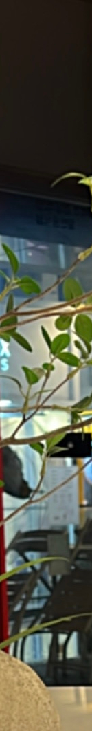 라미네이트재부착 가능할까? 보철물 파절 원인 및 대처 방법 관련 이미지 14