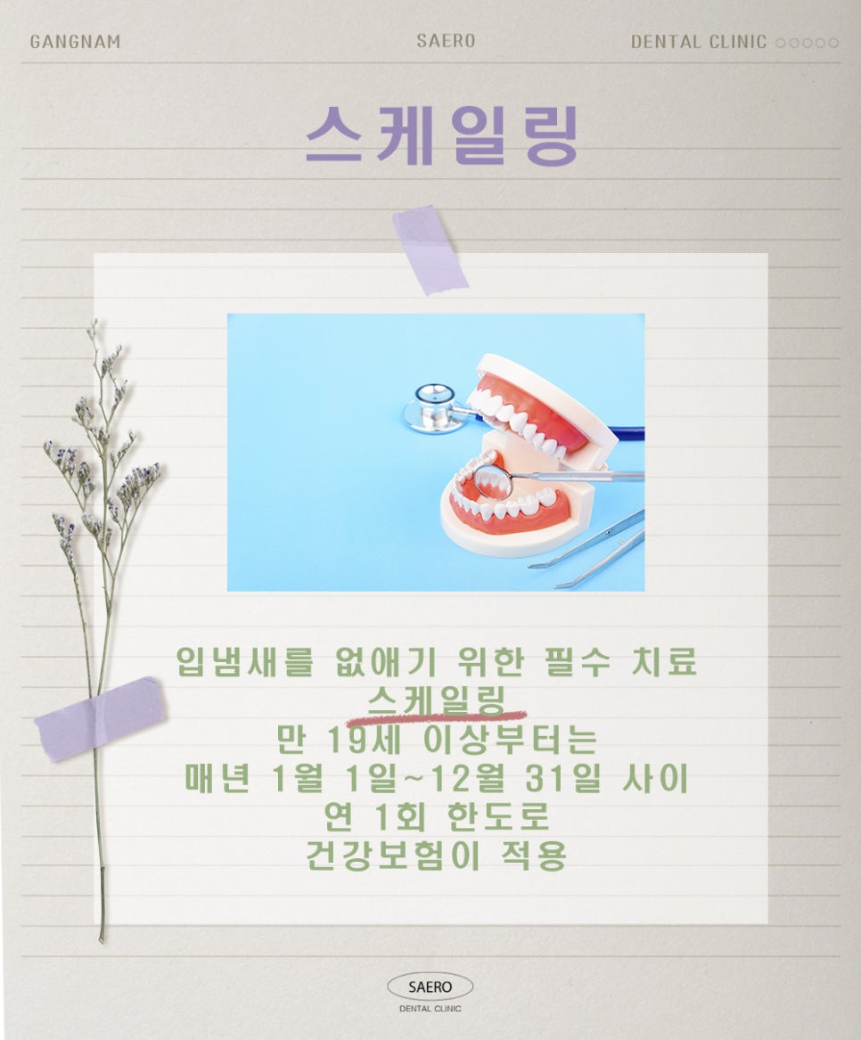 양치질을 해도 입냄새가 난다면 (구취 원인과 해결법) 관련 이미지 7