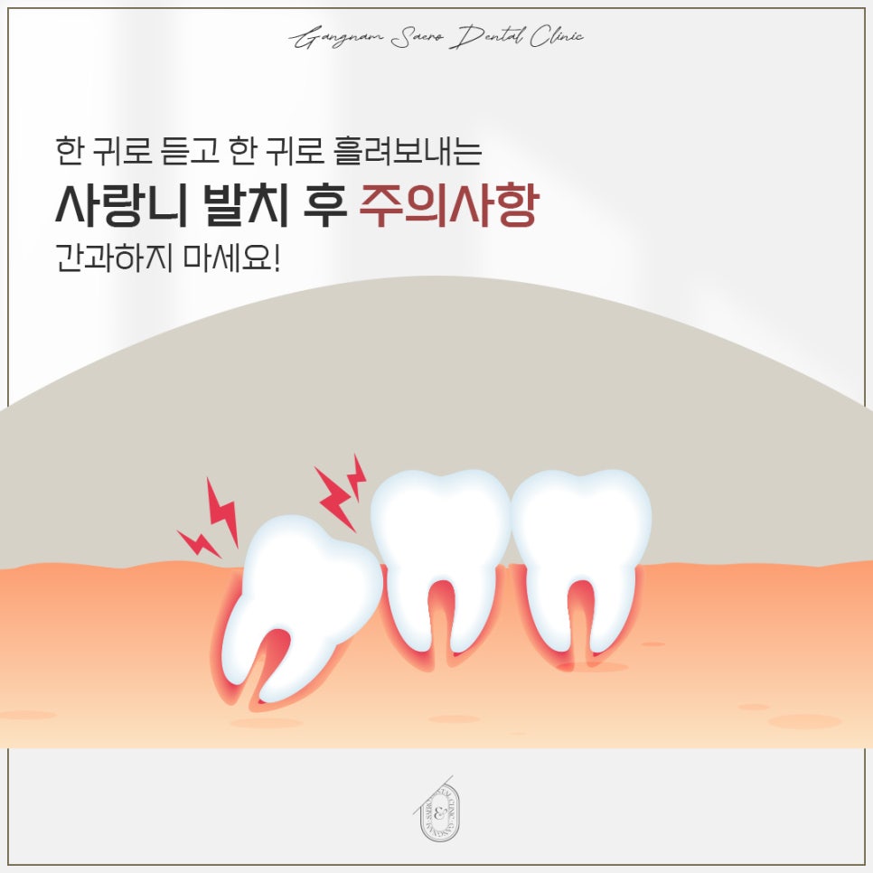 사랑니발치후 주의사항 (강남역 사랑니발치치과) 관련 이미지 1