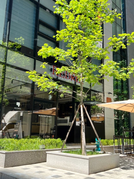 강남역베이커리카페추천, 강남역미드센추리모던카페 강남역커피맛집 추천 리브릭커피(Rebrik) 관련 이미지 13