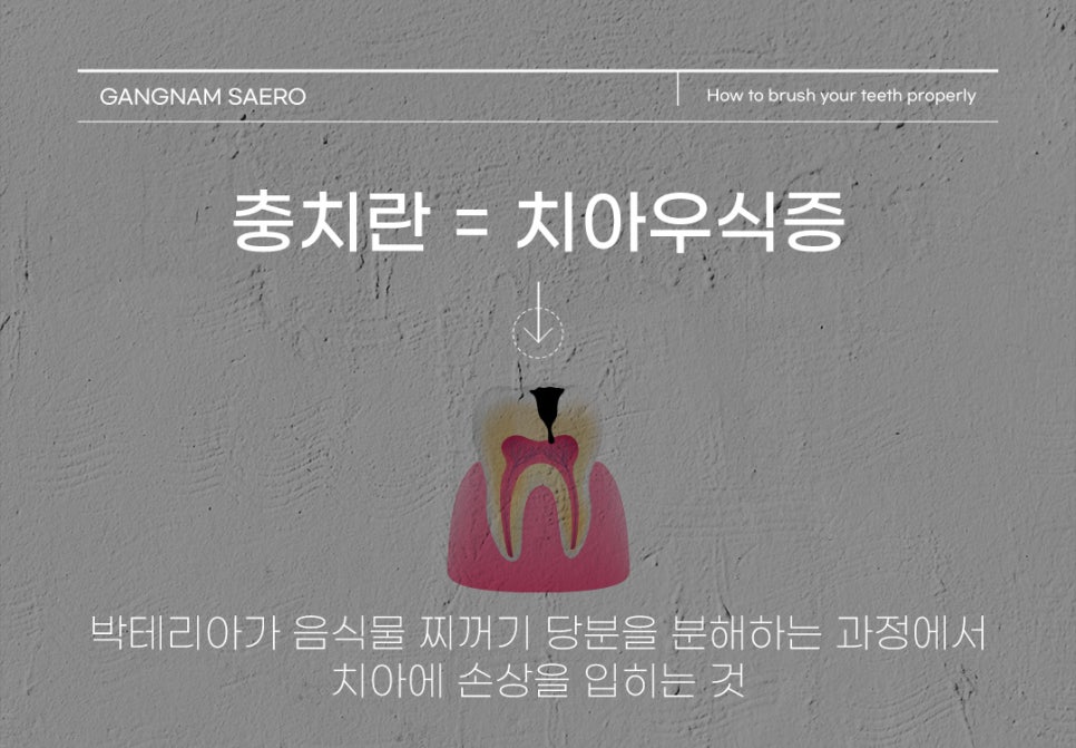 진짜 양치질을 모르는 당신에게 (올바른양치법) 관련 이미지 6