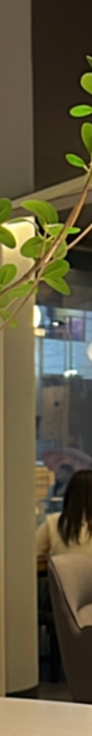 라미네이트재부착 가능할까? 보철물 파절 원인 및 대처 방법 관련 이미지 17