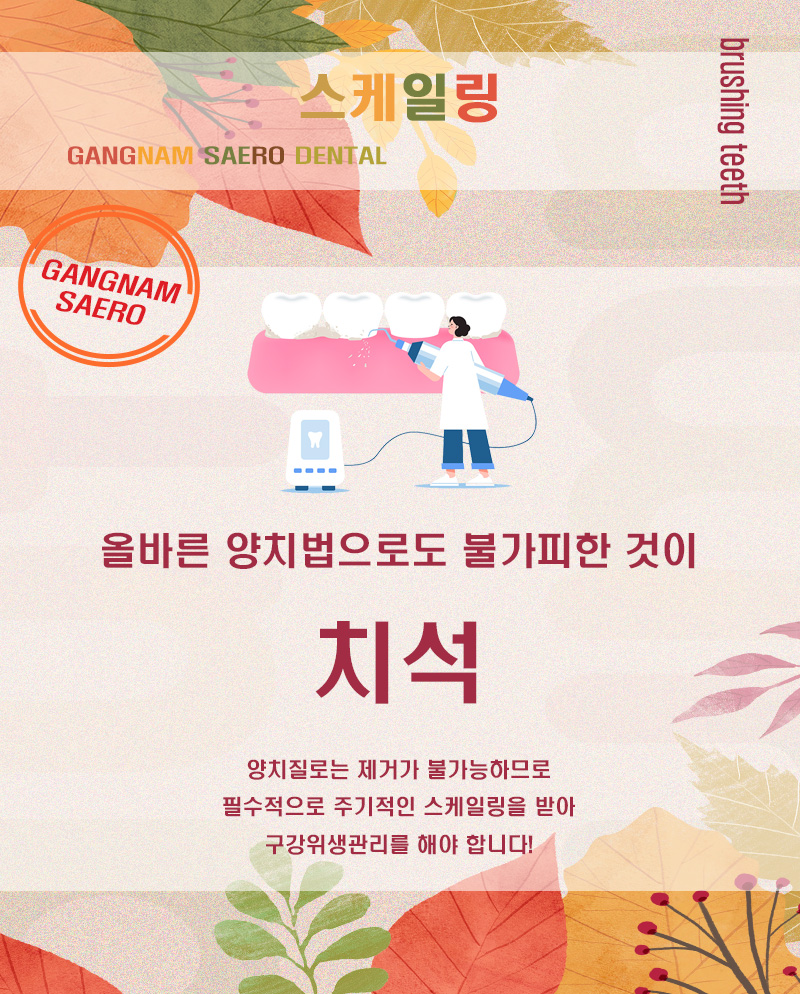 양치질을 해도 입냄새가 난다면 (올바른양치법) 관련 이미지 7