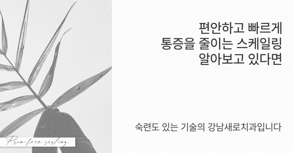 치주질환 예방 가글 마취로 편안한 스케일링 (무통스케일링) 관련 이미지 5