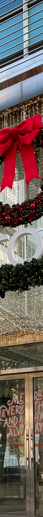 부정교합 교정치료, 발치 없이 단기간에 치료할 수 있다? 관련 이미지 11