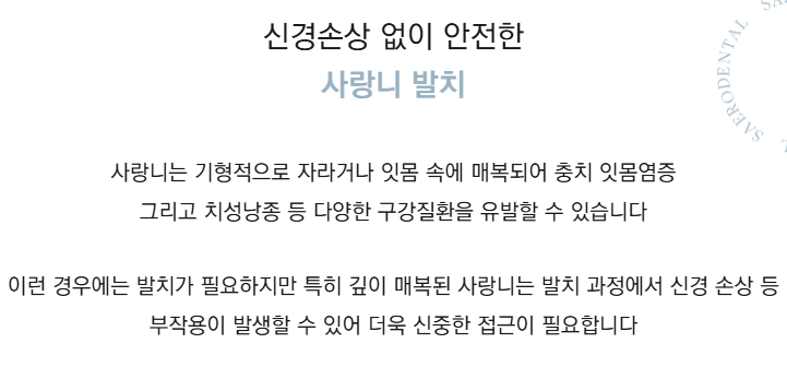 역 도보 5분 근처치과 진료목록 (강남새로치과) 관련 이미지 9