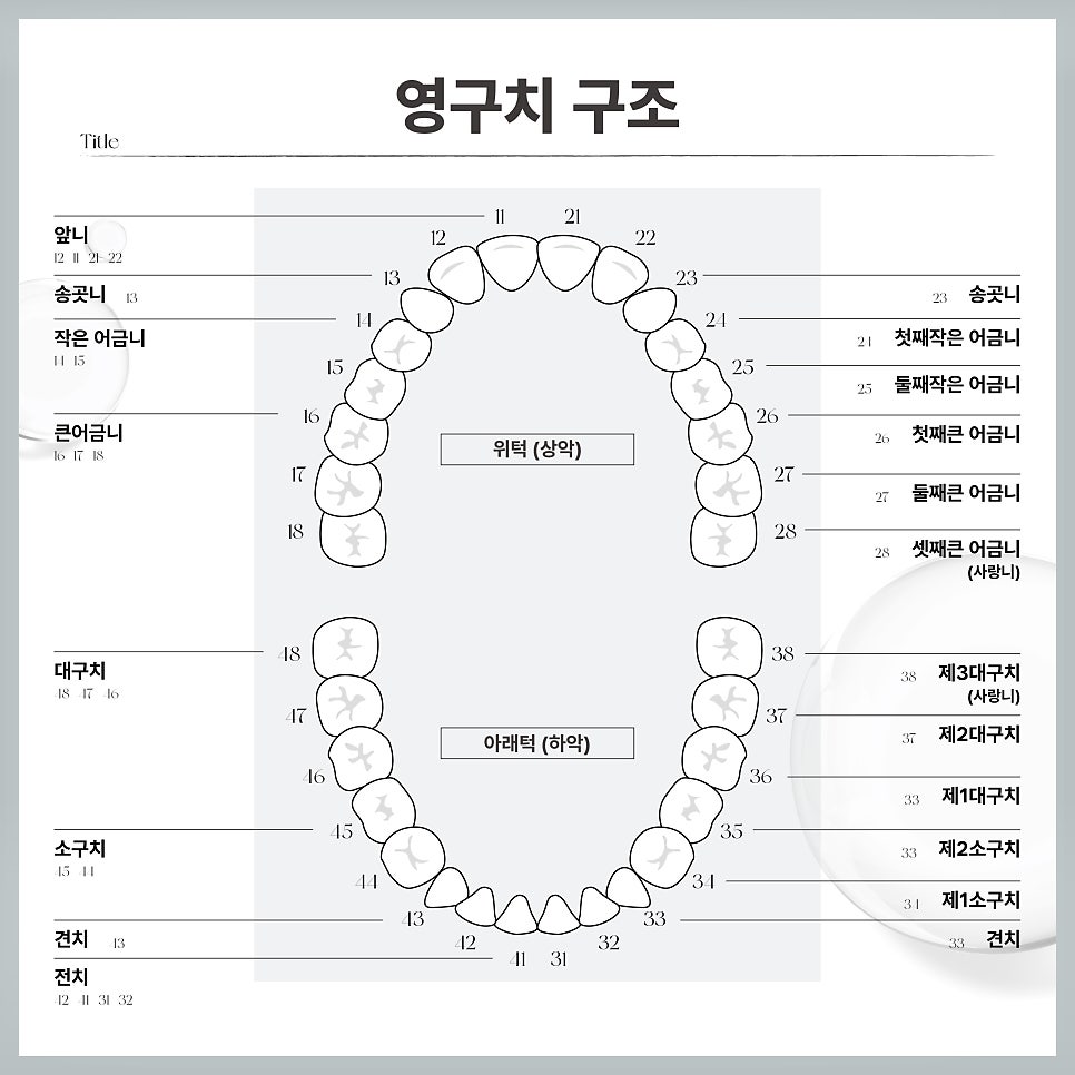 어금니 발치 후 임플란트 해야 하는 이유 (어금니임플란트) 관련 이미지 2