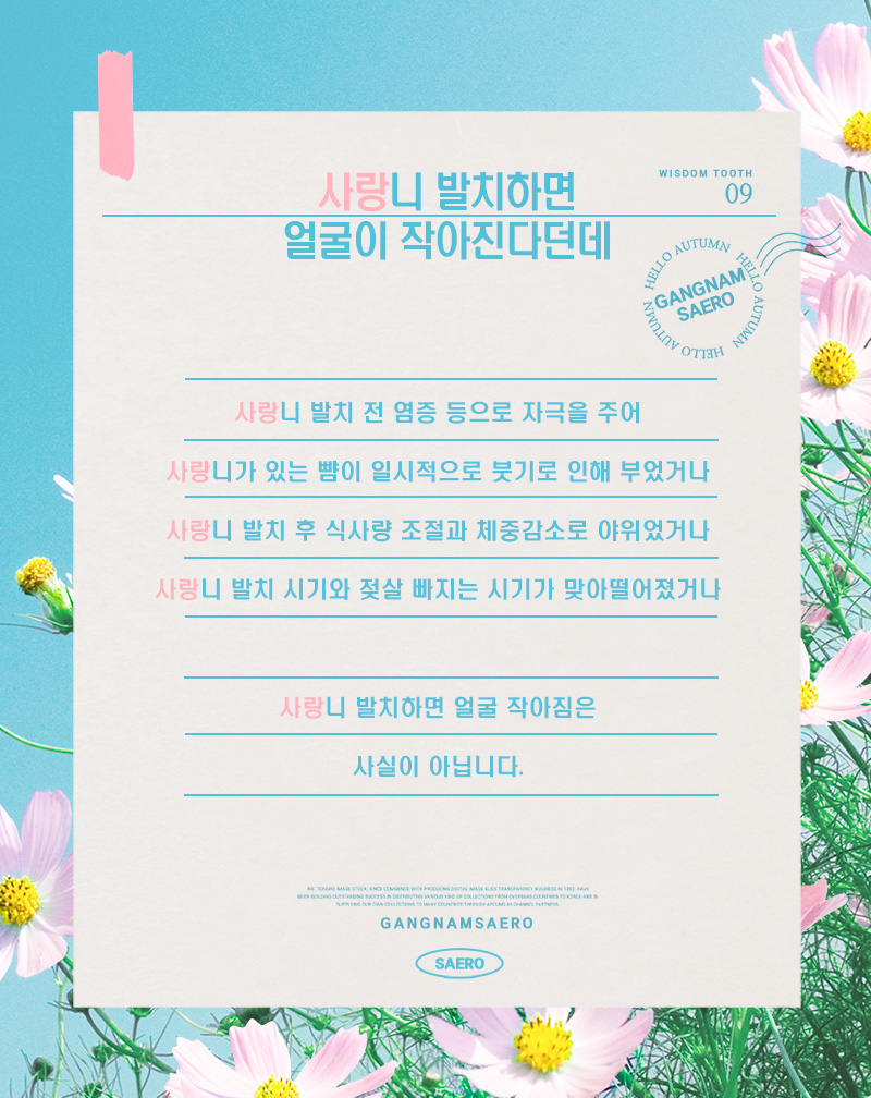 사랑니 오해와 진실 (사랑니발치) 관련 이미지 3