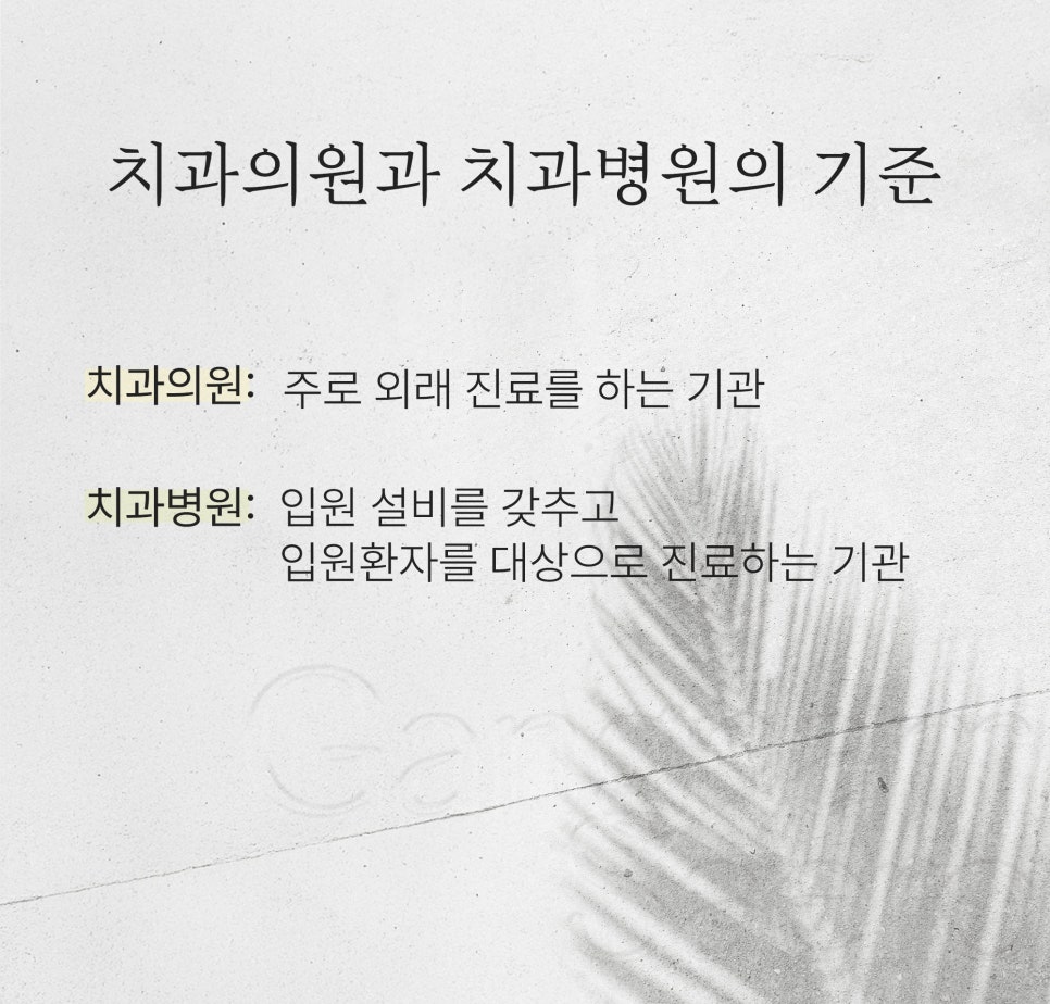 Popular Dental Search Term image 2