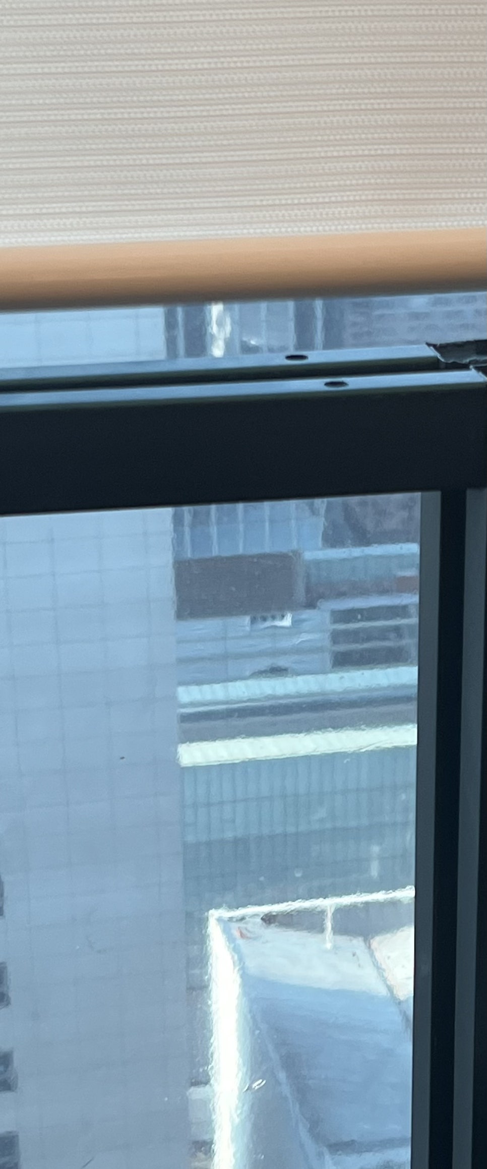 발치 후 교정, 이빨을 뽑지 않는 치료 방법이 있다? 관련 이미지 8