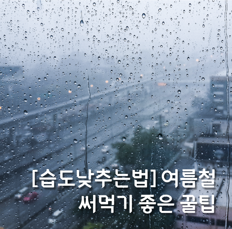 [습도낮추는법] 여름철 써먹기 좋은 꿀팁 관련 이미지 1