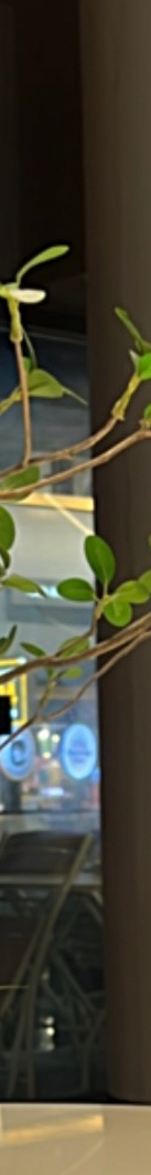 라미네이트재부착 가능할까? 보철물 파절 원인 및 대처 방법 관련 이미지 15