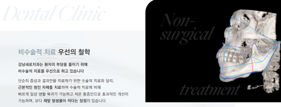 역 도보 5분 근처치과 진료목록 (강남새로치과) 관련 이미지 8