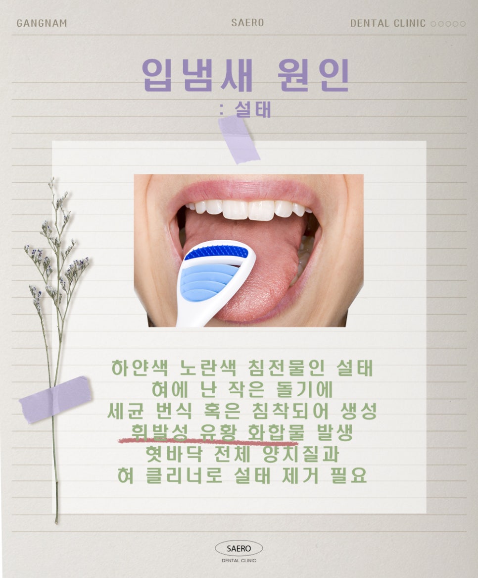 양치질을 해도 입냄새가 난다면 (구취 원인과 해결법) 관련 이미지 4