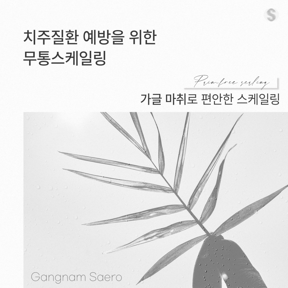 치주질환 예방 가글 마취로 편안한 스케일링 (무통스케일링) 관련 이미지 1