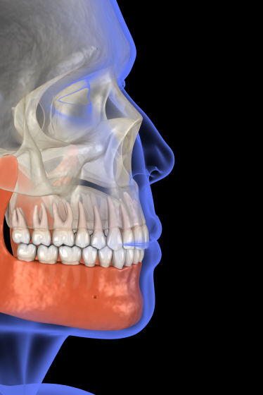 턱관절 탈구가 발생하는 원인과 치료 방법? 관련 이미지 4