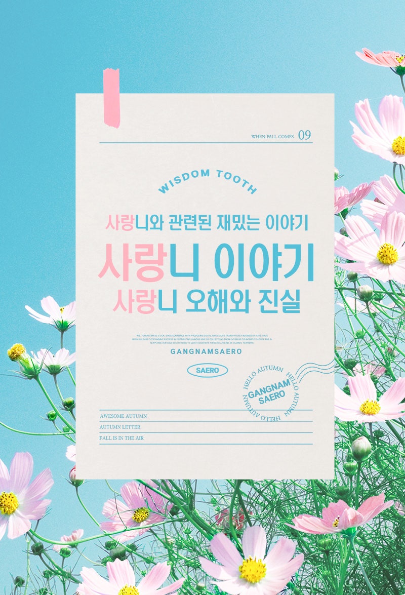 사랑니 오해와 진실 (사랑니발치) 관련 이미지 1