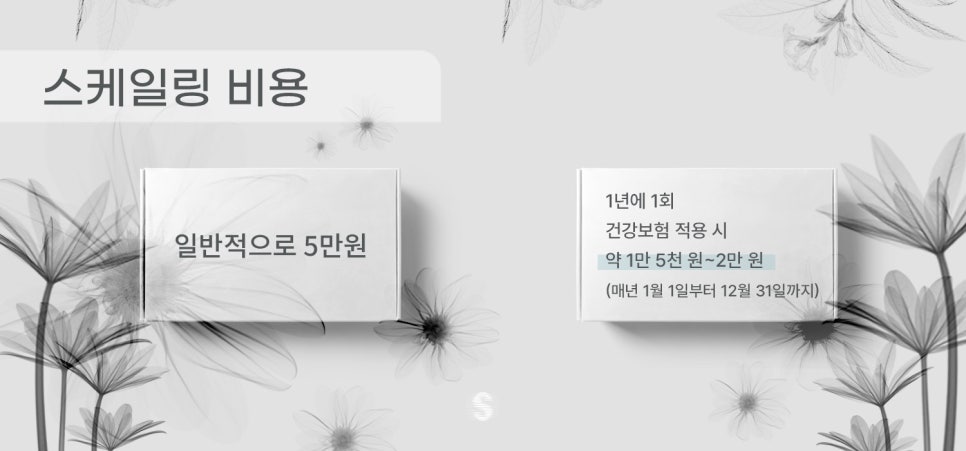 올해 지나기 전에 스케일링 건강보험적용, 놓치지 마세요! (스케일링통증 스케일링비용) 관련 이미지 2