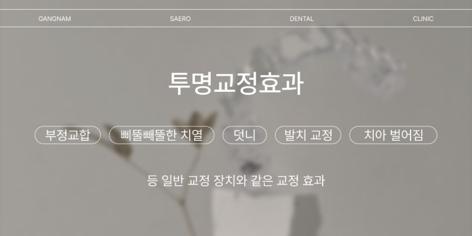 투명교정 부실진료가 생기는 이유 (투명교정효과) 관련 이미지 2