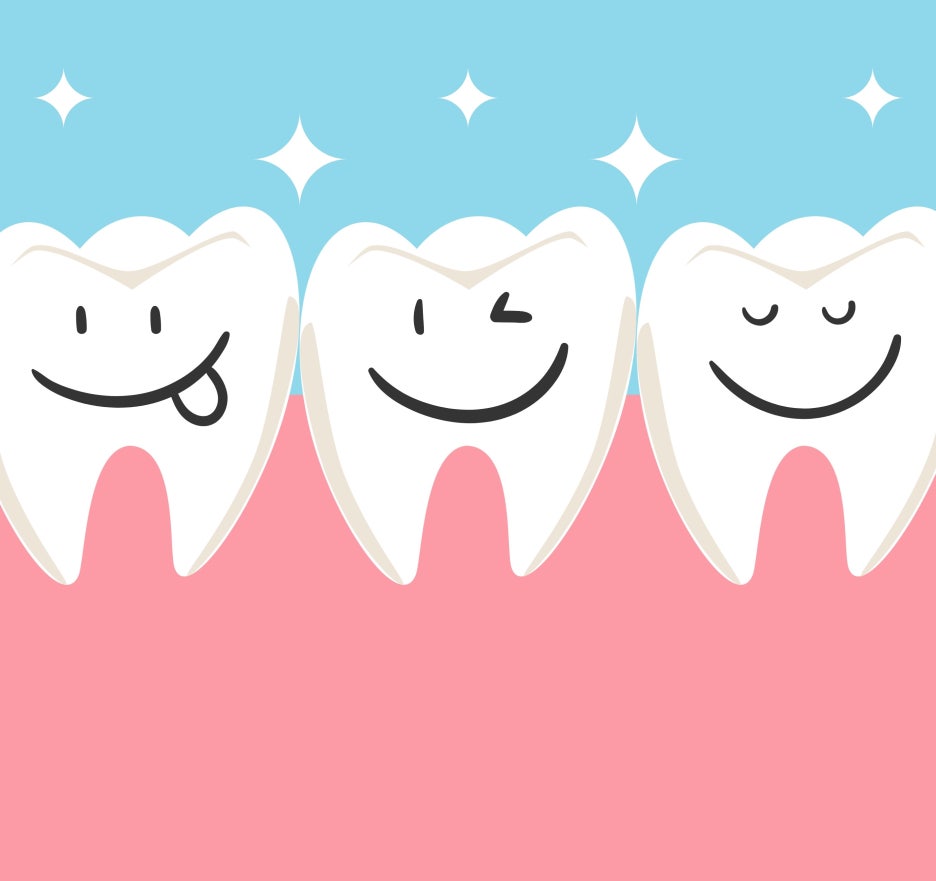 라미네이트재부착 가능할까? 보철물 파절 원인 및 대처 방법 관련 이미지 8