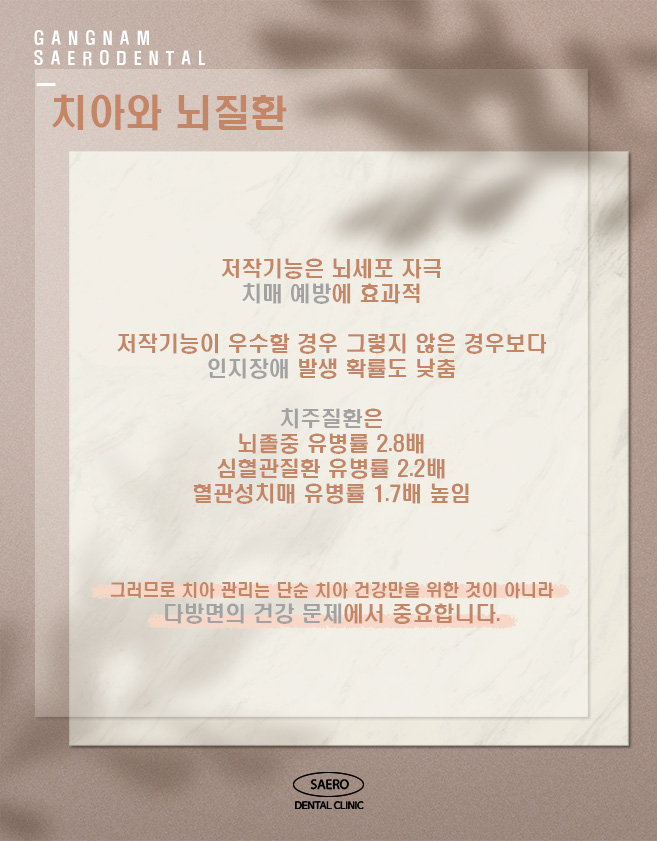 연령별 치아 관리 (임플란트 브릿지 틀니 비교) 관련 이미지 2