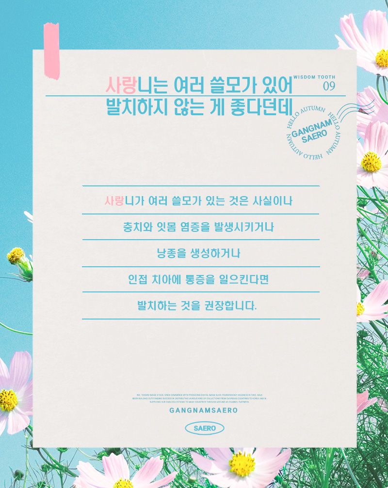 사랑니 오해와 진실 (사랑니발치) 관련 이미지 5