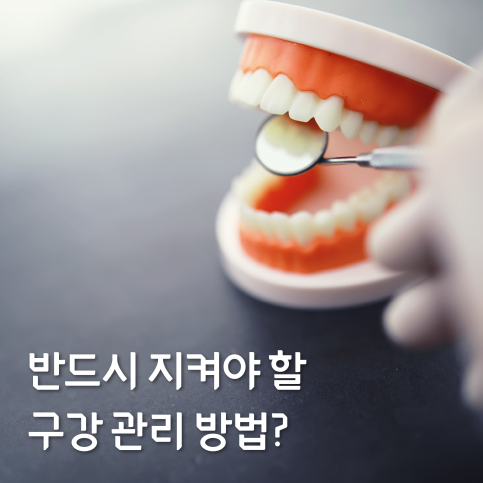 구강관리방법 치아 건강을 오래 유지하고 관련 이미지 1