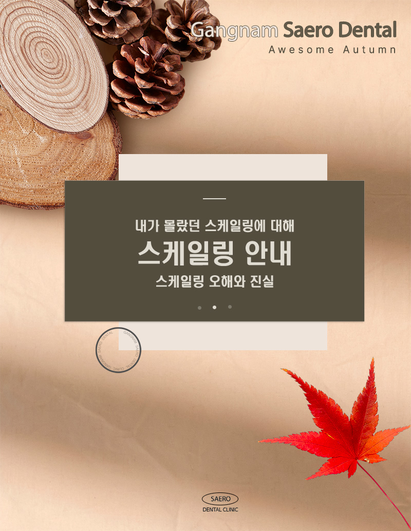 스케일링 오해와 진실 (치아 깎임, 흔들림, 벌어짐, 이시림, 무통스케일링) 관련 이미지 1