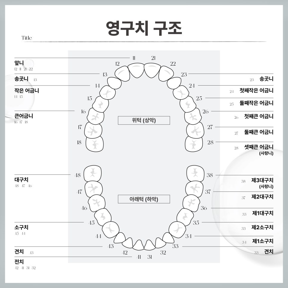 앞니가 깨졌어요! (깨진앞니 치료법) 관련 이미지 2