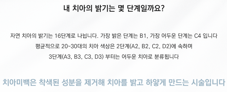 역 도보 5분 근처치과 진료목록 (강남새로치과) 관련 이미지 7