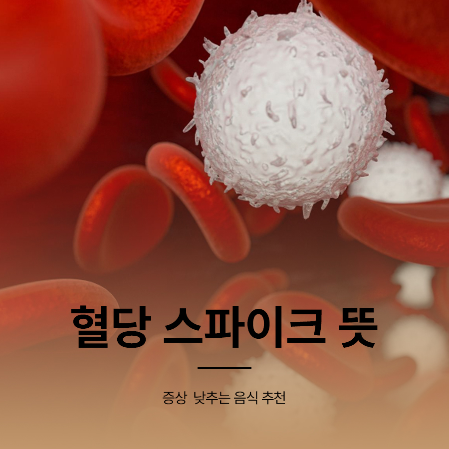 혈당 스파이크 뜻 증상 낮추는 음식 추천 관련 이미지 1