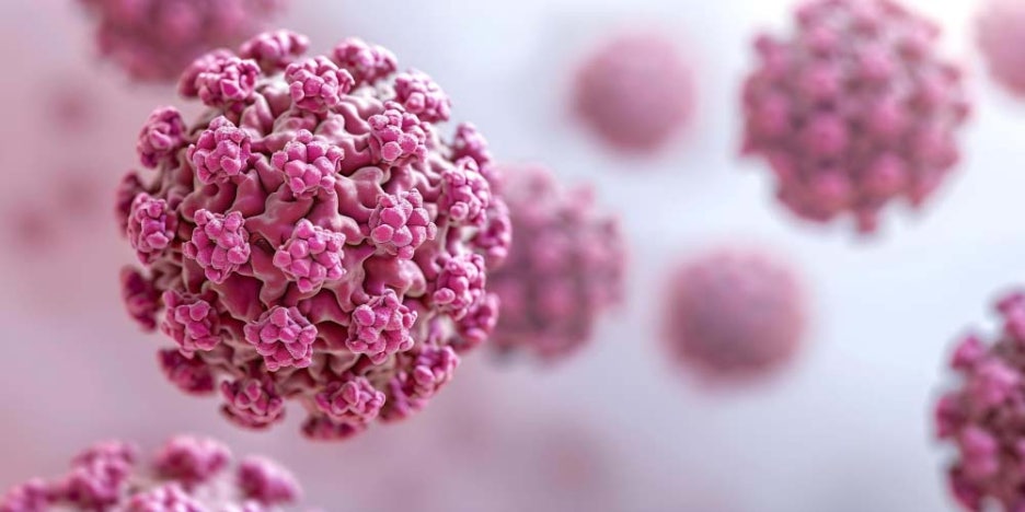 hpv 바이러스 고위험군 번호 치료방법 정리 관련 이미지 3