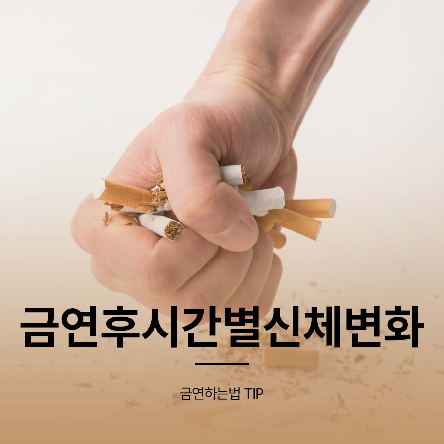 금연후시간별신체변화 금연하는법 TIP 관련 이미지 1