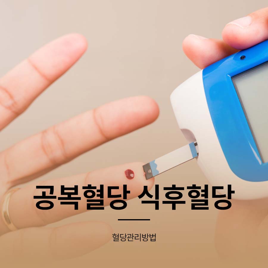공복혈당 식후혈당 수치 및 관리방법은 관련 이미지 1
