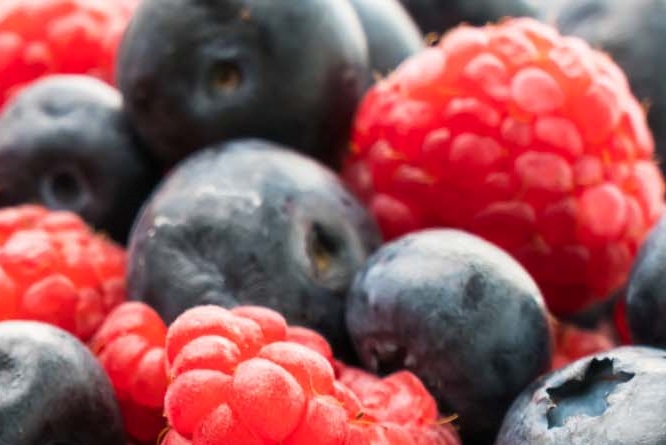 About the Benefits of Wild Raspberries, Peak Season, and Washing Methods image 9