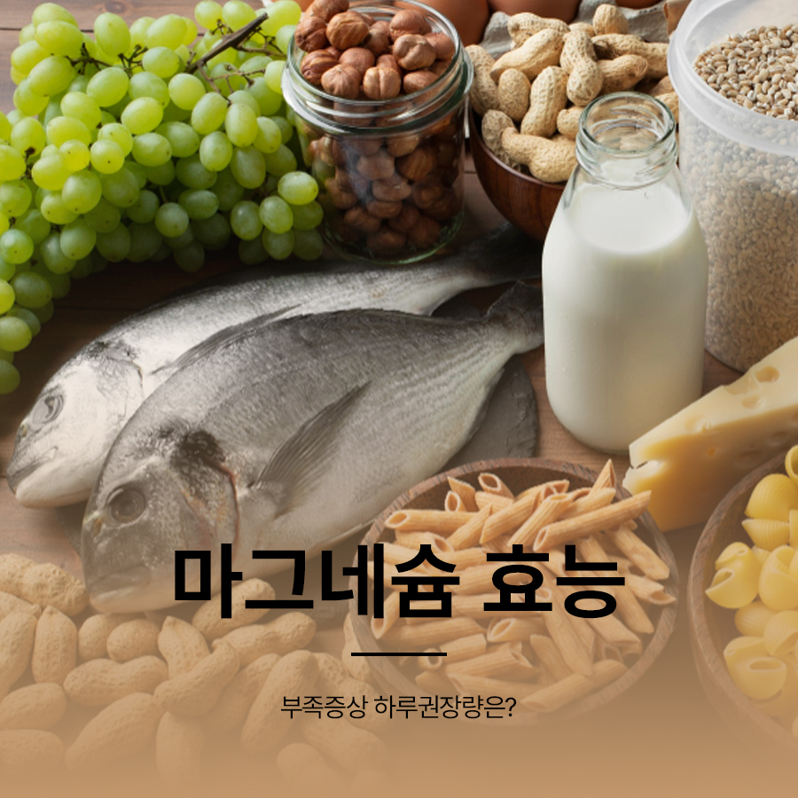 마그네슘 효능 부족증상 하루권장량은? 관련 이미지 1