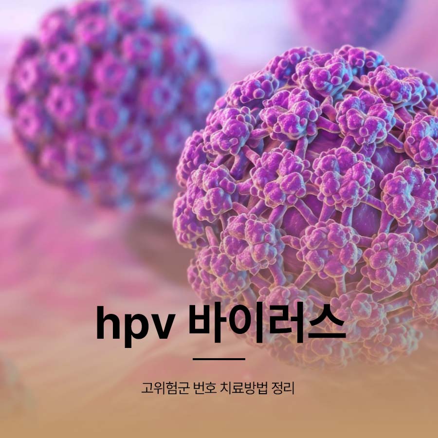 hpv 바이러스 고위험군 번호 치료방법 정리 관련 이미지 1